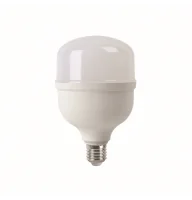 THE LIGHT Світлодіодна лампа T100 40 Вт 6400K E27