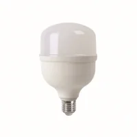 THE LIGHT Світлодіодна лампа T80 30 Вт 6400K E27